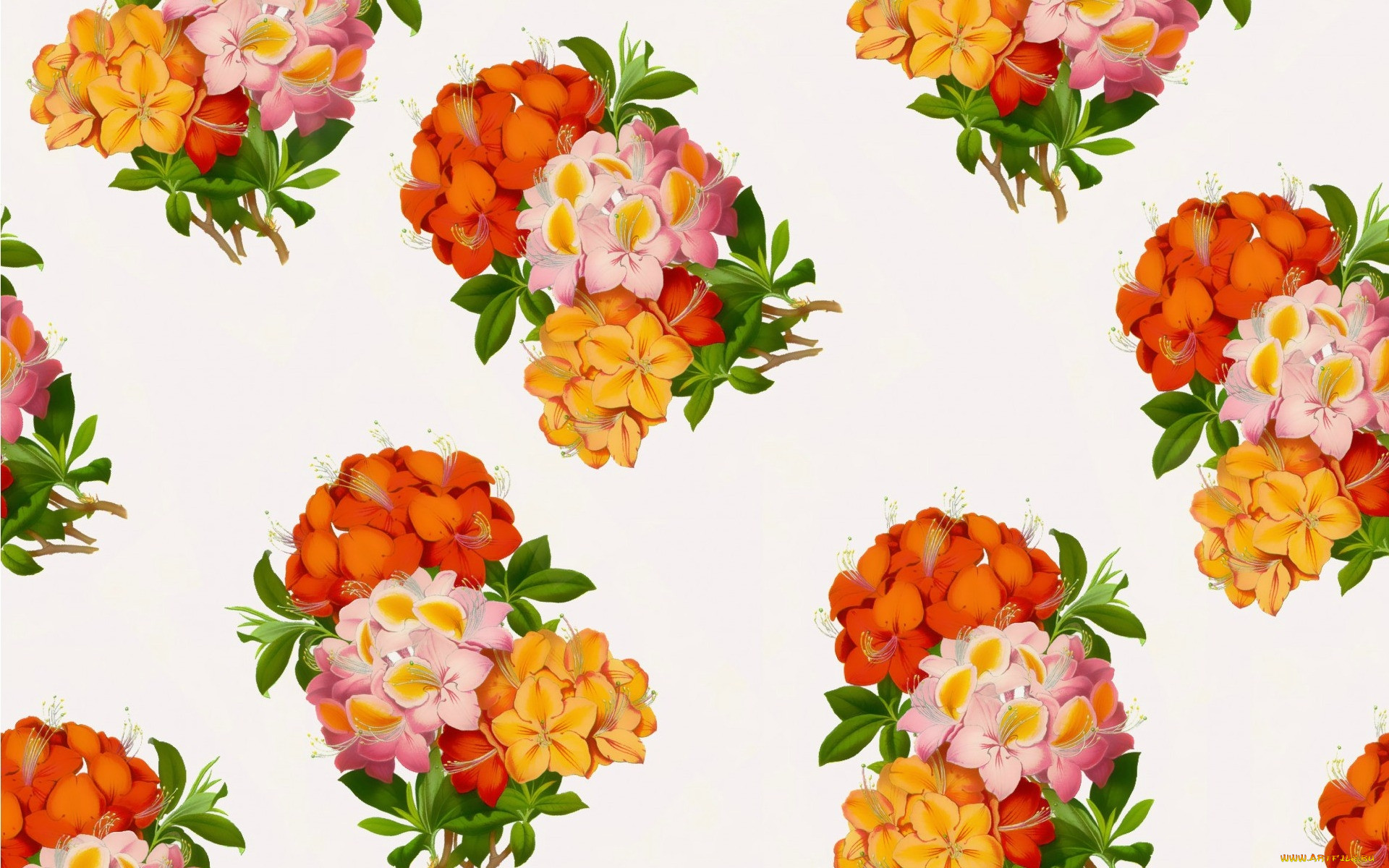  ,  , flowers, , 